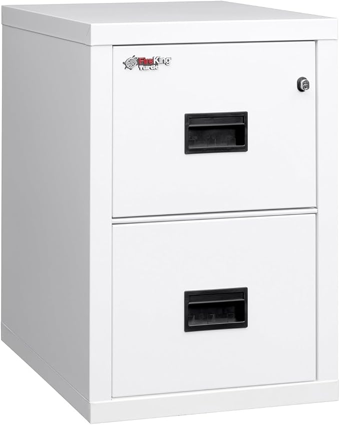 FireKing Turtle Vertical 2 Drawer Legal and Letter Fire Safe File Cabinet by FireKing