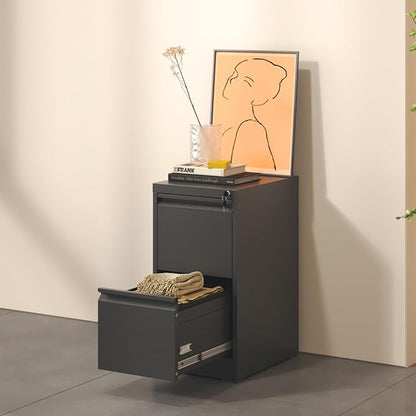 2 Drawer File Cabinet, Metal Vertical Filing Cabinet - Image 6