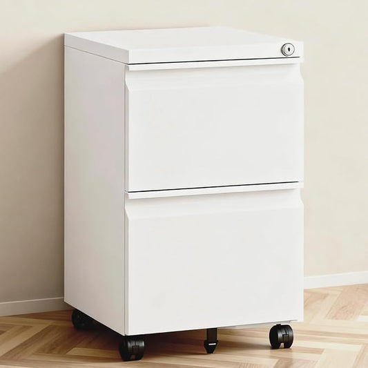 2 Drawer File Cabinet with Lock, Under Desk Rolling Small Filing Cabinet by TEEALUBAN