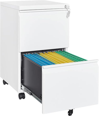 Letaya 2 Drawer Mobile File Cabinet by LetayaMetalCabinets