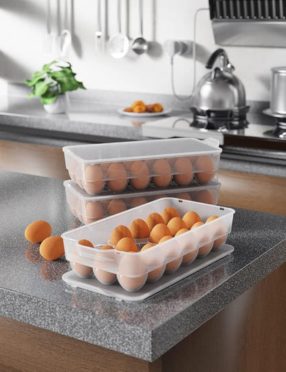 Clear Covered Egg Holder 3-Pack, Plastic Egg Storage - Image 7