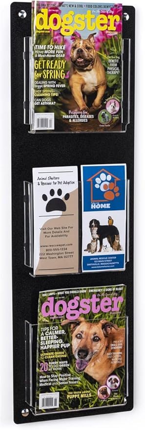 Displays2go Tiered Magazine Holder by Displays2go