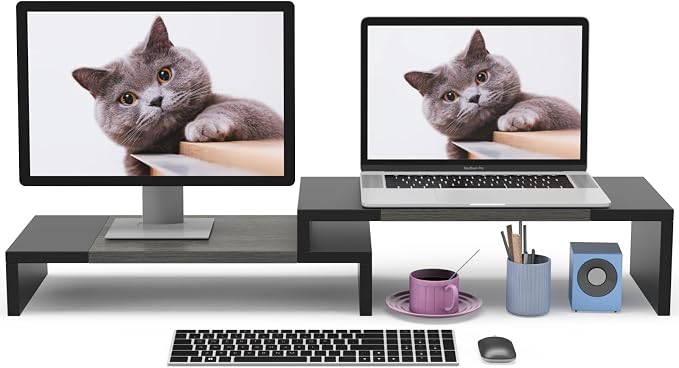 WESTREE Dual Monitor Stand Riser by WESTREE
