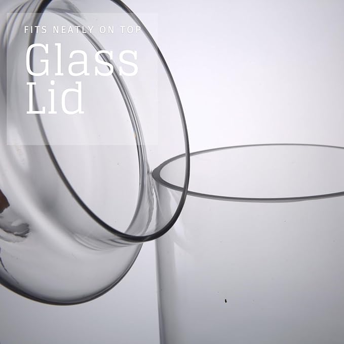 Set of 3 Glass Apothecary Jars - Image 5