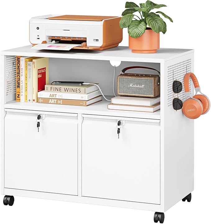 Metal File Cabinet, 2 Drawer Lateral Filing Cabinet by LISSIMO