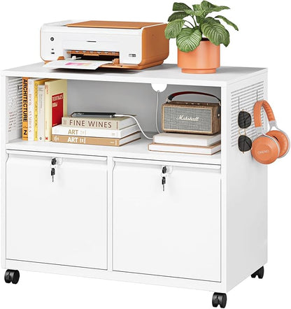 Metal File Cabinet, 2 Drawer Lateral Filing Cabinet by LISSIMO