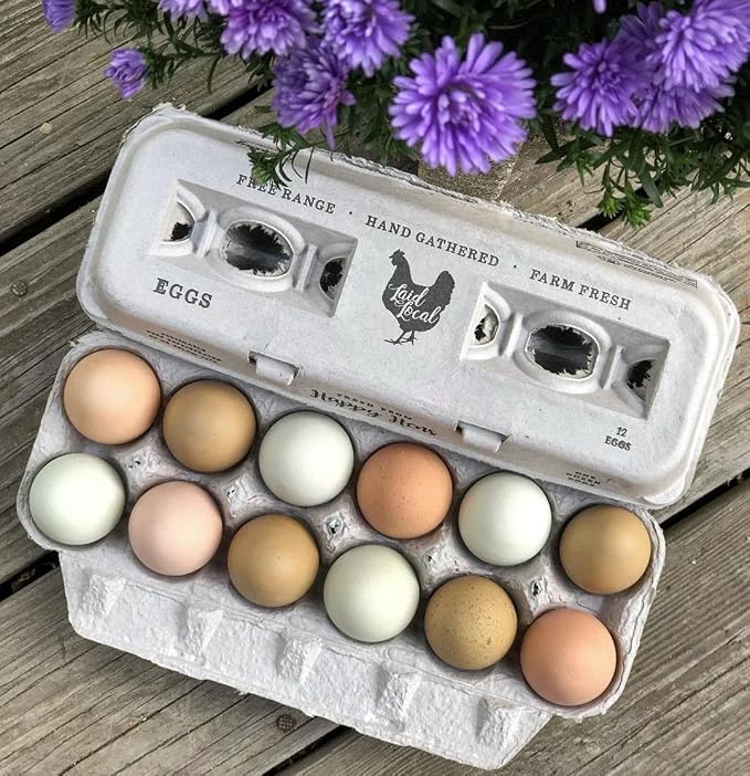 250 Egg Cartons- Bulk Value Bundle- Adorable Printed Design - Image 2