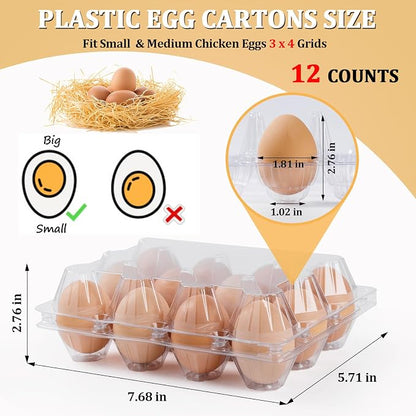 60 Pack Plastic Egg Cartons Cheap Bulk, One Dozen Clear Empty Egg Cartons - Image 2