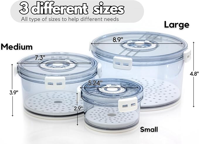 Lettuce Keeper for Refrigerator - Image 2