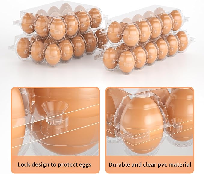 EVANCENT Egg Cartons Cheap Bulk 48 Pack, 1 Dozen Plastic Egg Carton - Image 4