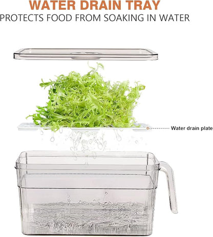 Loobuu 2 Pack Plastic Food Storage Produce Containers - Image 6