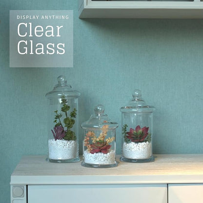 Set of 3 Glass Apothecary Jars - Image 9