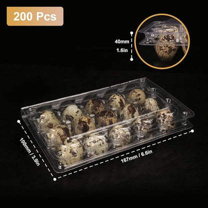 200 Pack Quail Egg Cartons, Holds up to 15 Quail Eggs Securely - Image 2
