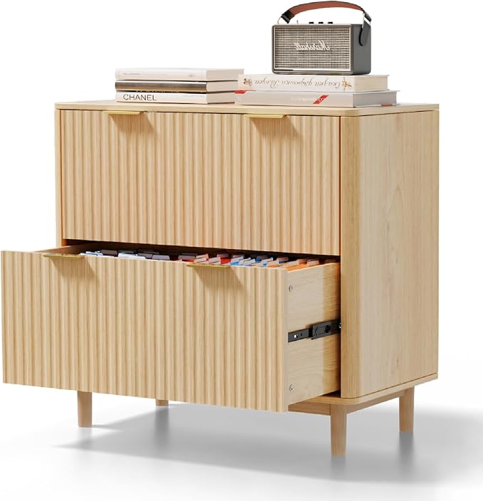 VINGLI 2 Drawer File Cabinet, Home Office Filing Organizer, by VINGLI