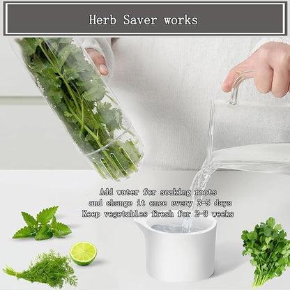 Herb Saver for Refrigerator, Cilantro Container for Fridge, Fresh Herbs Lettuce - Image 4