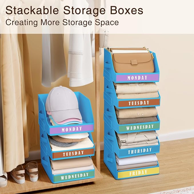 Closet Organizers and Storage - Image 5