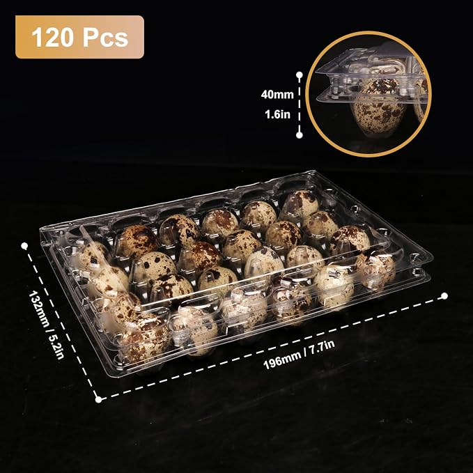 120 Pack Quail Egg Cartons - Image 2