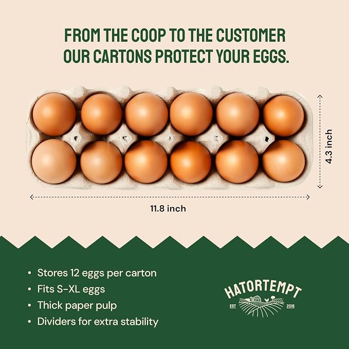 PTCOM Hatortempt Bulk Egg Cartons - Image 8
