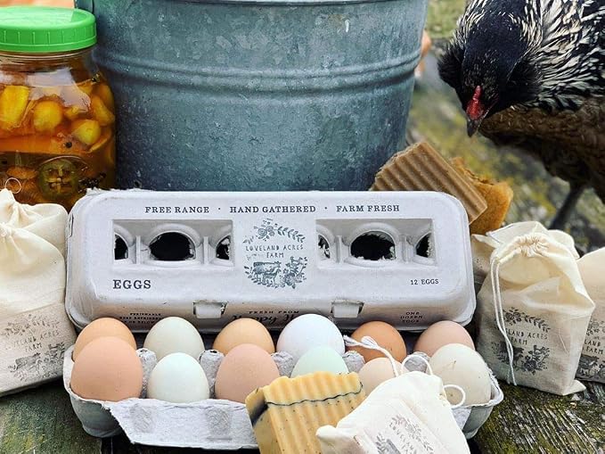 Egg Cartons- Adorable Printed Design - Image 6