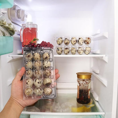 200 Pack Quail Egg Cartons, Holds up to 15 Quail Eggs Securely - Image 6