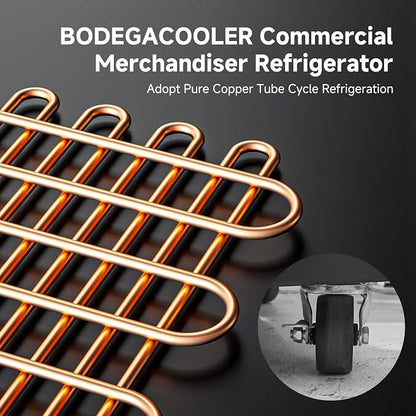 BODEGACOOLER Commercial Merchandiser Refrigerator, 3 Glass Door Commercial - Image 8