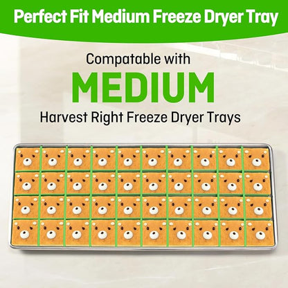 5 Sets Freeze dryer Tray Dividers - Image 2