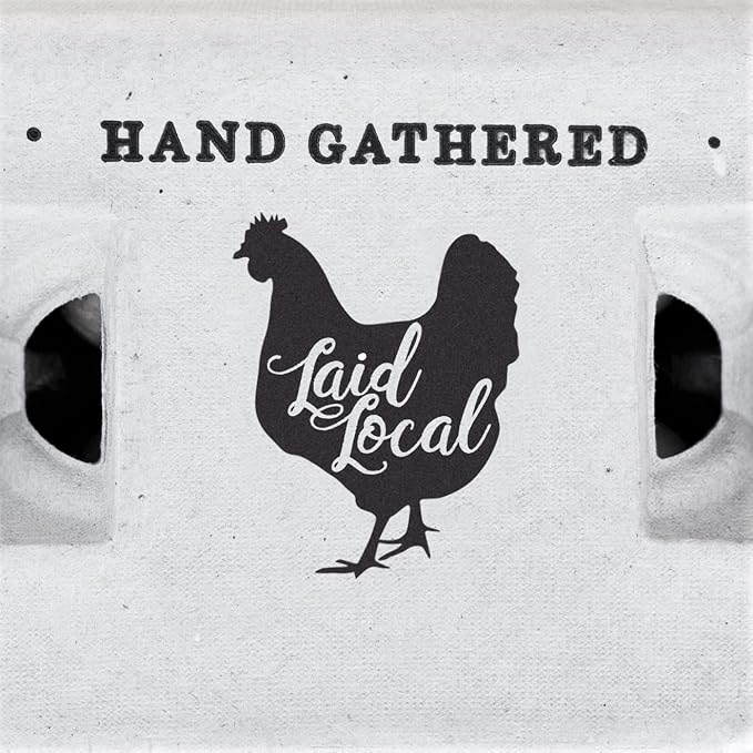 25 Egg Cartons- Adorable Printed Vintage Design - Image 4