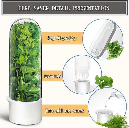 Herb Saver for Refrigerator, Fresh Herbs Lettuce Keeper for Refrigerator - Image 5