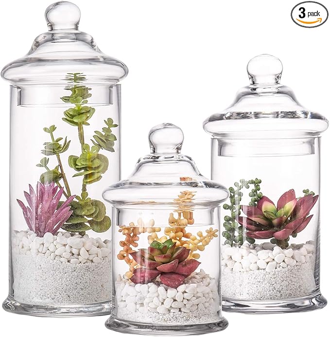Set of 3 Glass Apothecary Jars by DiamondStar