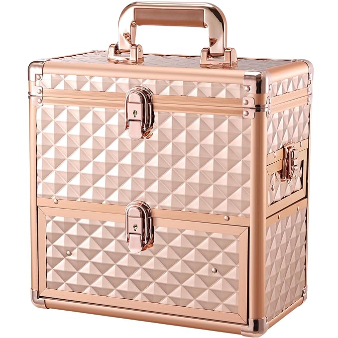 Makeup Train Case Professional Makeup Organizer Case by Frenessa