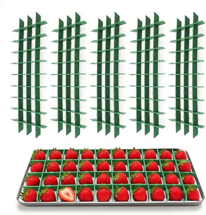 5 Sets Medium Freeze Dryer Tray Dividers Compatible by Unknown