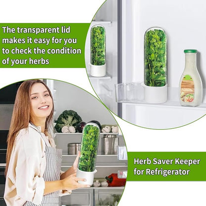 Cilantro Container for Fridge, Herb Saver for Refrigerator - Image 5