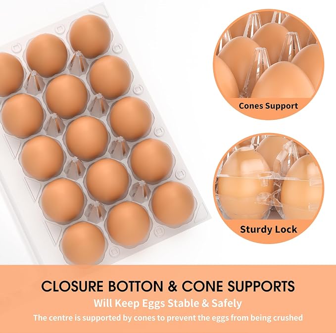 Egg Cartons Cheap Bulk 100 Pack, 1 Dozen Plastic Egg Carton - Image 3