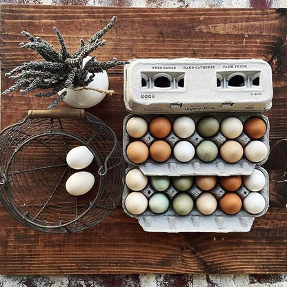 Egg Cartons- Adorable Printed Design - Image 8