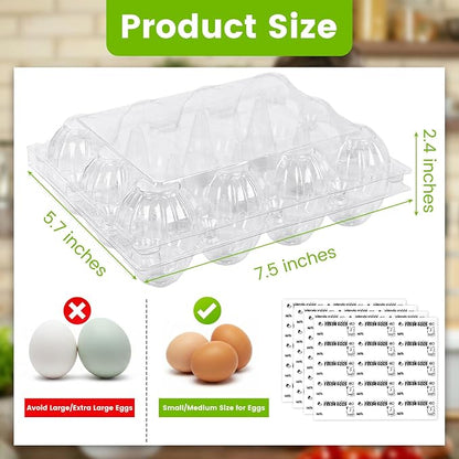 LOVEINUSA 100 PCS 12 Count Plastic Egg Cartons, - Image 2