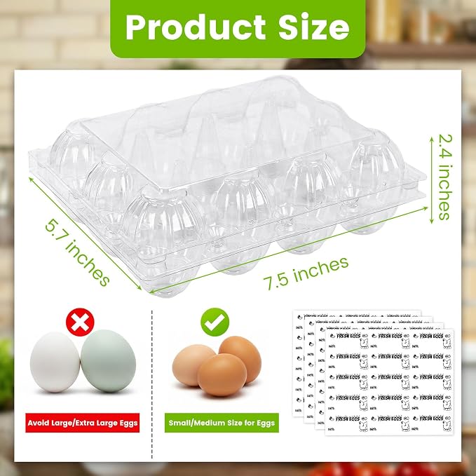 LOVEINUSA 60 Pack 12-Count Clear Plastic Egg Cartons - Image 2