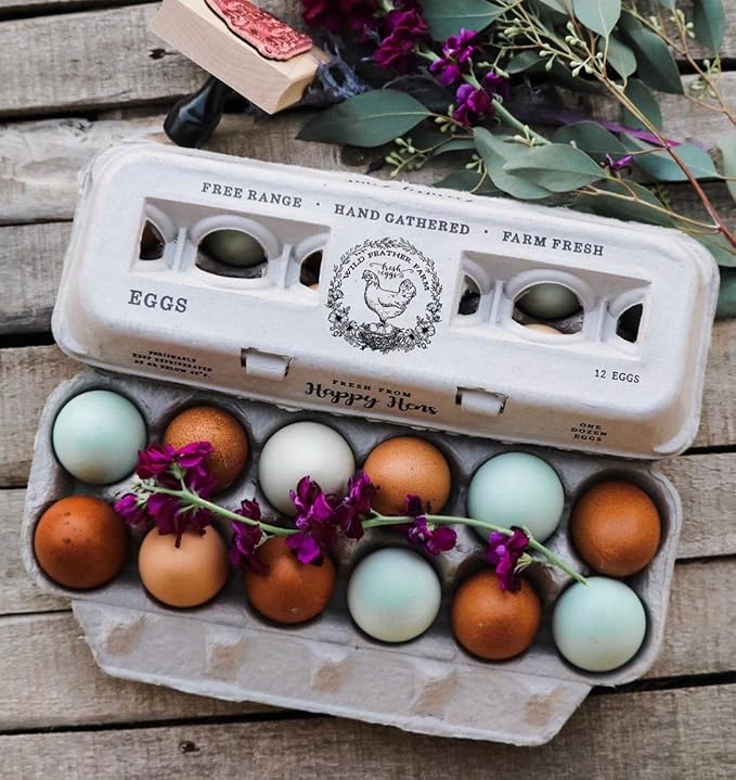 Egg Cartons- Adorable Printed Design - Image 5