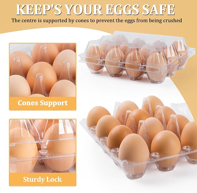 60 Pack Plastic Egg Cartons Cheap Bulk, One Dozen Clear Empty Egg Cartons - Image 4
