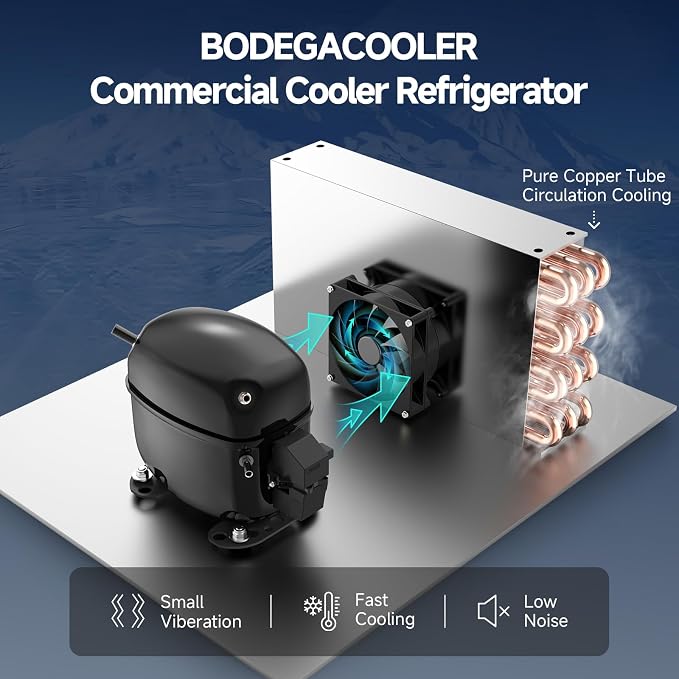 BODEGACOOLER Commercial Merchandiser Refrigerator, 2 Glass Door Commercial - Image 8