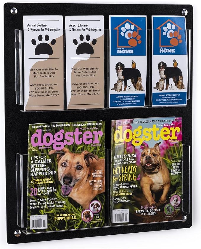Displays2go Acrylic Wall Mounted Magazine Rack, 4-8 Adjustable Pockets by Displays2go