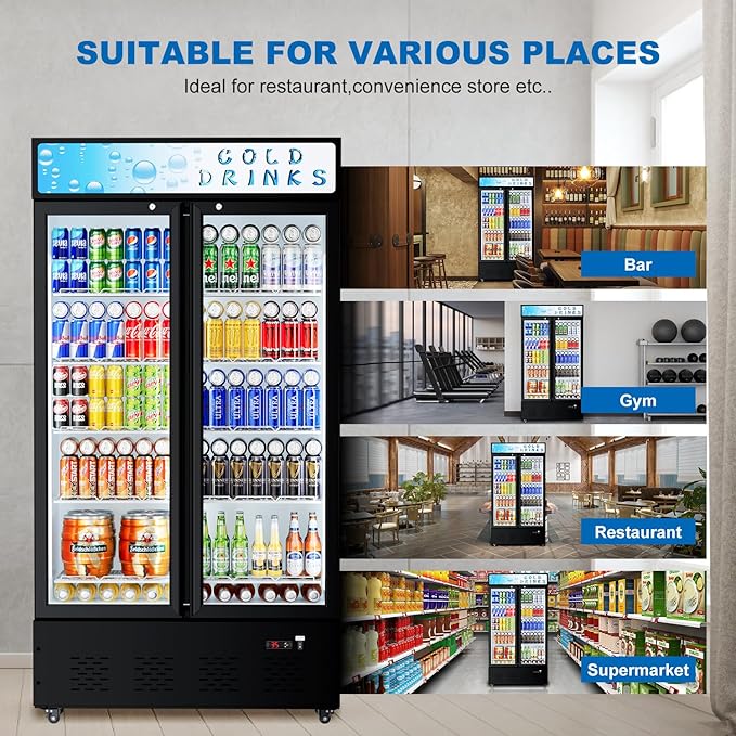 Commercial Glass Door Display Refrigerator 30 cu.ft Cooler Commercial Beverage - Image 6