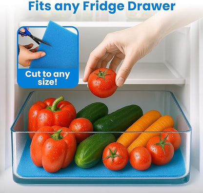 2X The Life of Your Produce - Image 4