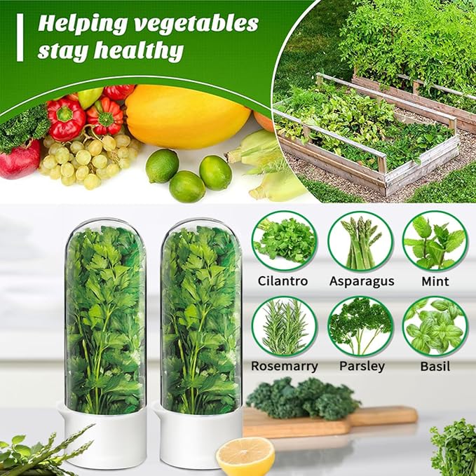Cilantro Container for Fridge, Herb Saver for Refrigerator - Image 2