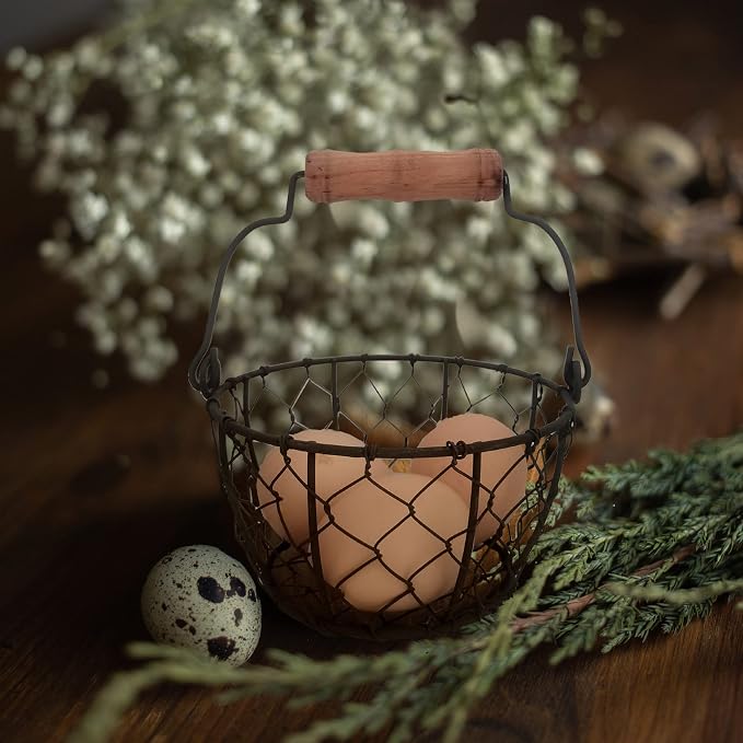 TAIANLE.Small Wire Egg Collecting Basket - Image 5