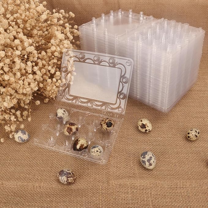 220 Pack Quail Egg Cartons, Holds up to 12 Quail Eggs Securely - Image 5