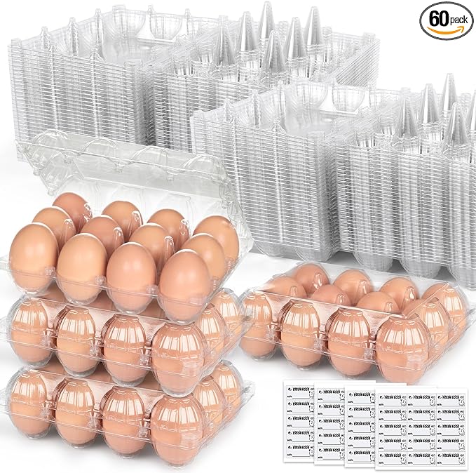 LOVEINUSA 60 Pack 12-Count Clear Plastic Egg Cartons by LoveInUsa