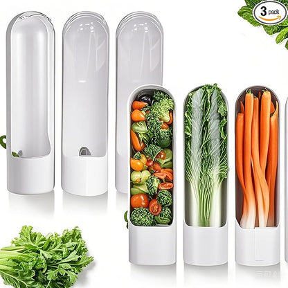 3Pack Herb Saver for Refrigerator for Cilantro, Vegetable Preservation by Ristpal