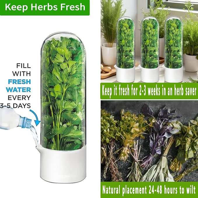 Herb Saver for Refrigerator - Image 4