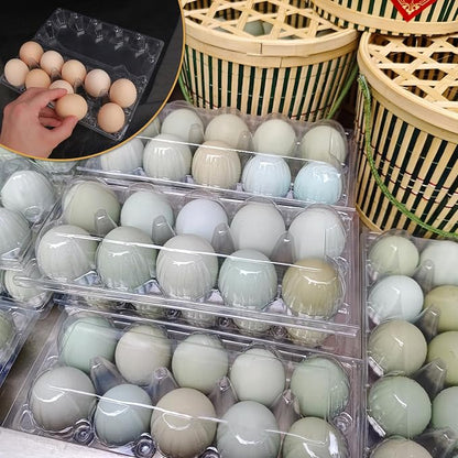 98 Pack Bulk Egg Cartons, Egg Tray Carton Holder - Image 5