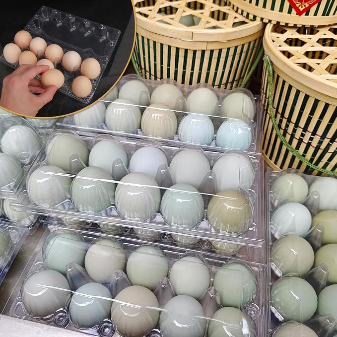 80 Pack Bulk Egg Cartons, Egg Tray Carton Holder - Image 5